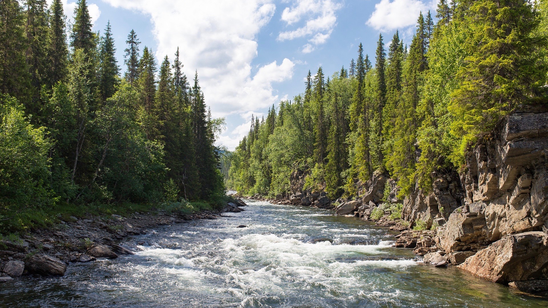 Al via la campagna #ProtectWater