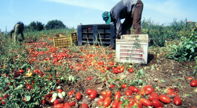 Caporalato: “Schiavi per sempre”
