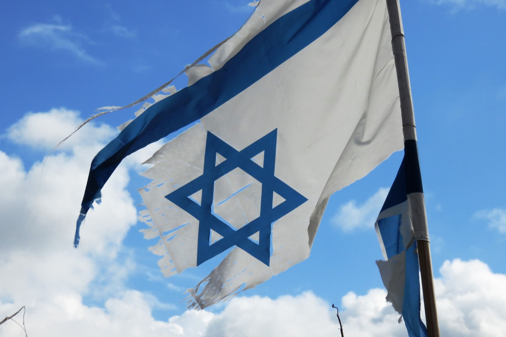 Islamismo, antisemitismo e la cattiva coscienza