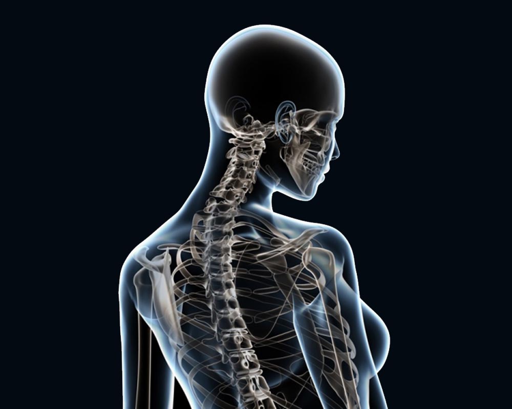 Disfunzione posturale, Congresso a Roma