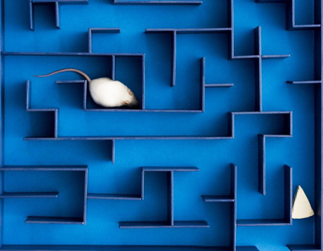 Visione di breve periodo