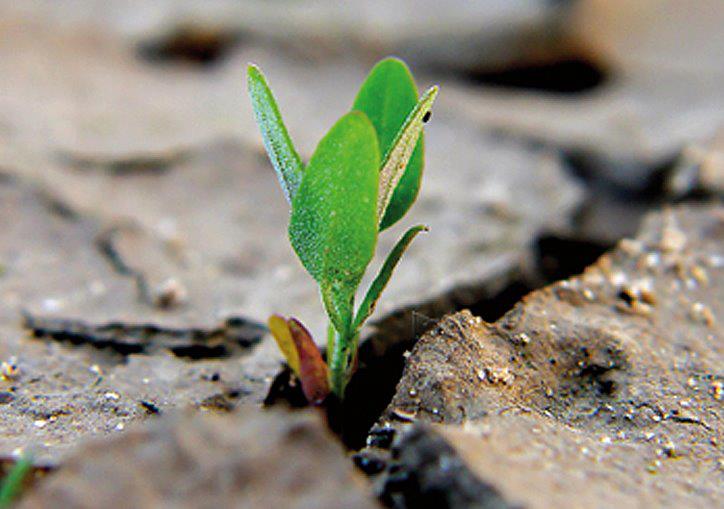 La dottrina sociale della Chiesa non è socialismo 