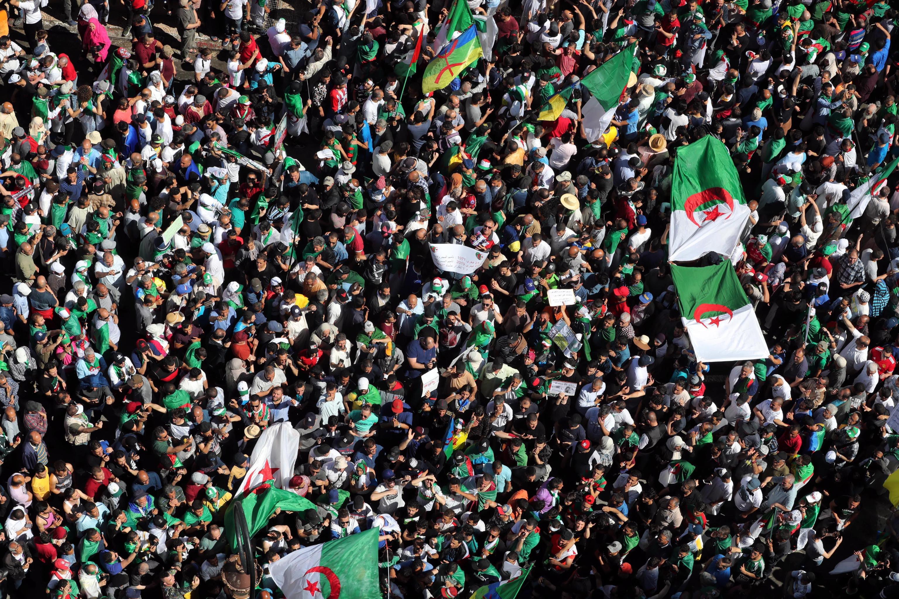 Terrorismo, la rivolta del mondo islamico contro i Fratelli Musulmani