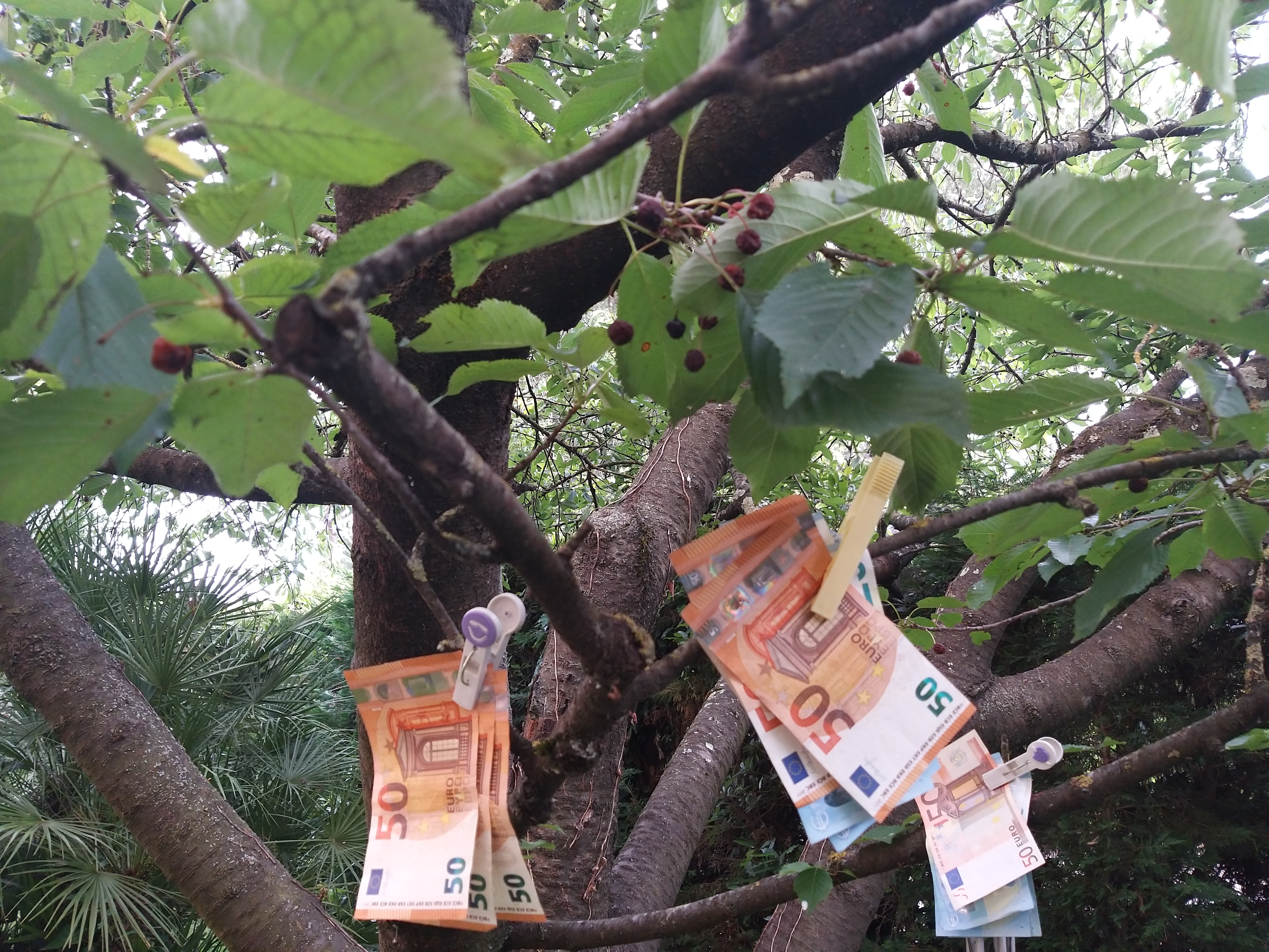 Proposta di riduzione del debito pubblico