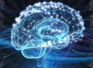 Cellule staminali e bio tecnologia