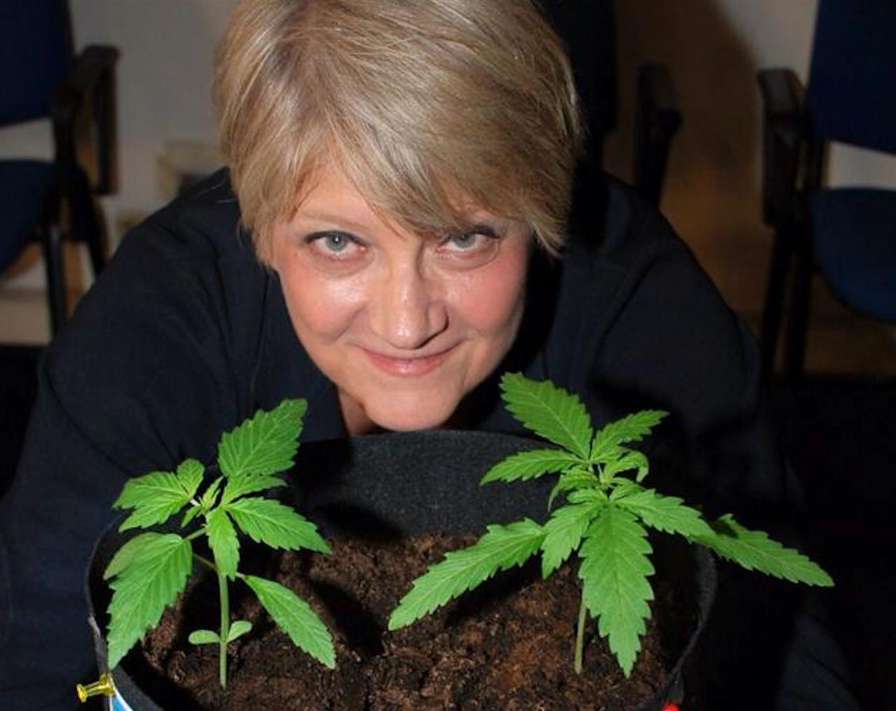 Cannabis, Rita Bernardini “denunciata per la coltivazione”