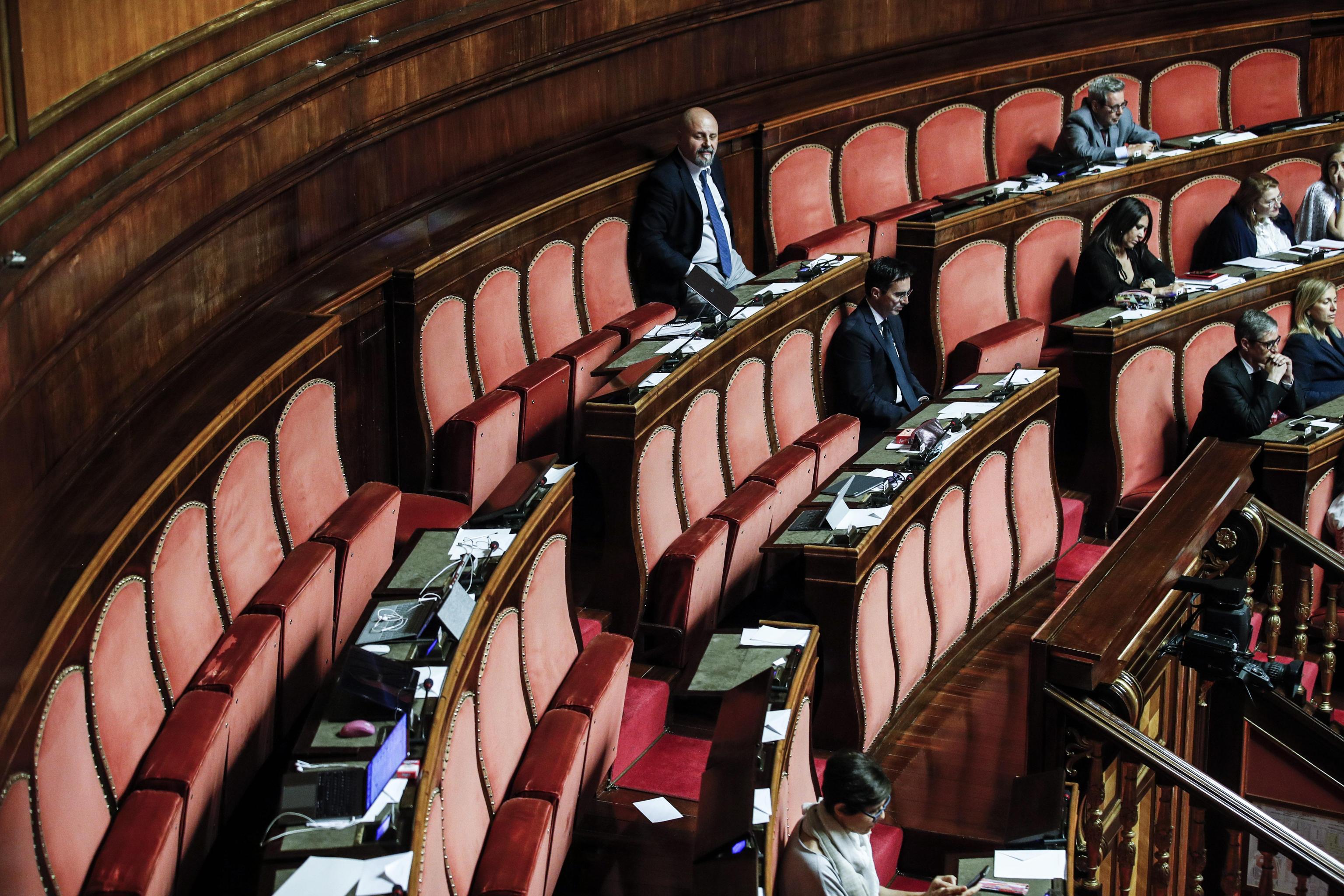 Grillini: fanno cose che voi umani non potete neanche immaginare