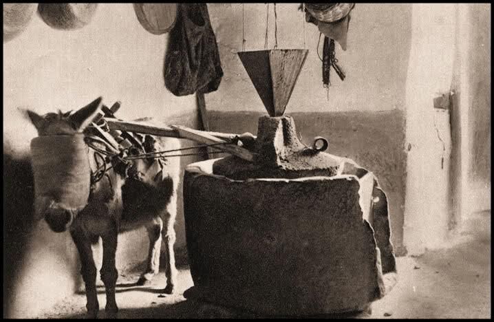 Una nazione senza stato