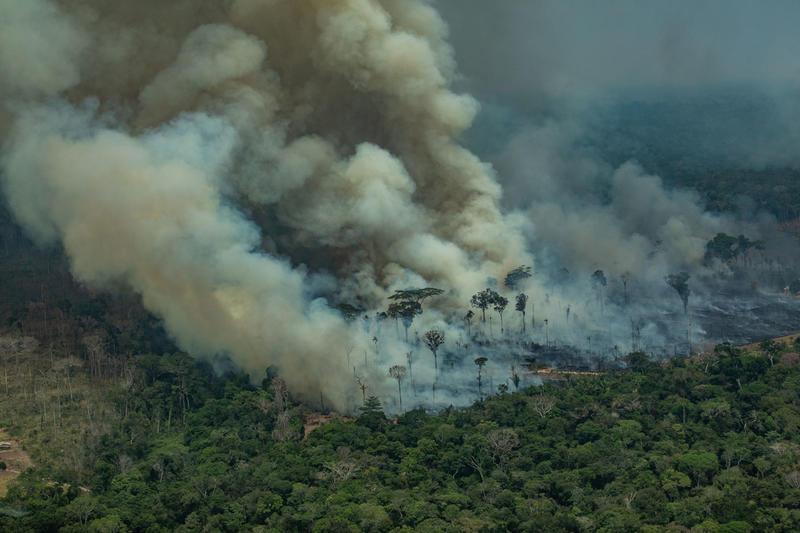 Amazzonia: il Brasile rifiuta i soldi del G7