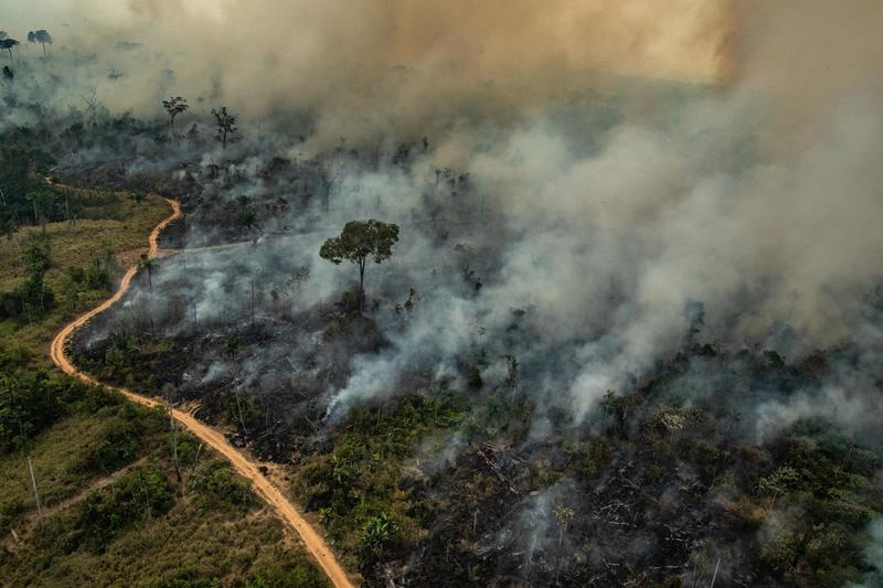 Amazzonia, Bolsonaro dice sì “agli aiuti esteri”