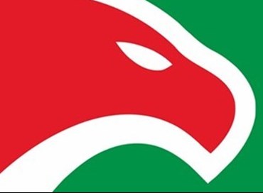 Il volo delle aquile