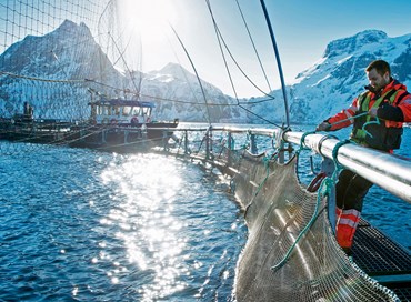 La Norvegia, la pesca e la blue economy