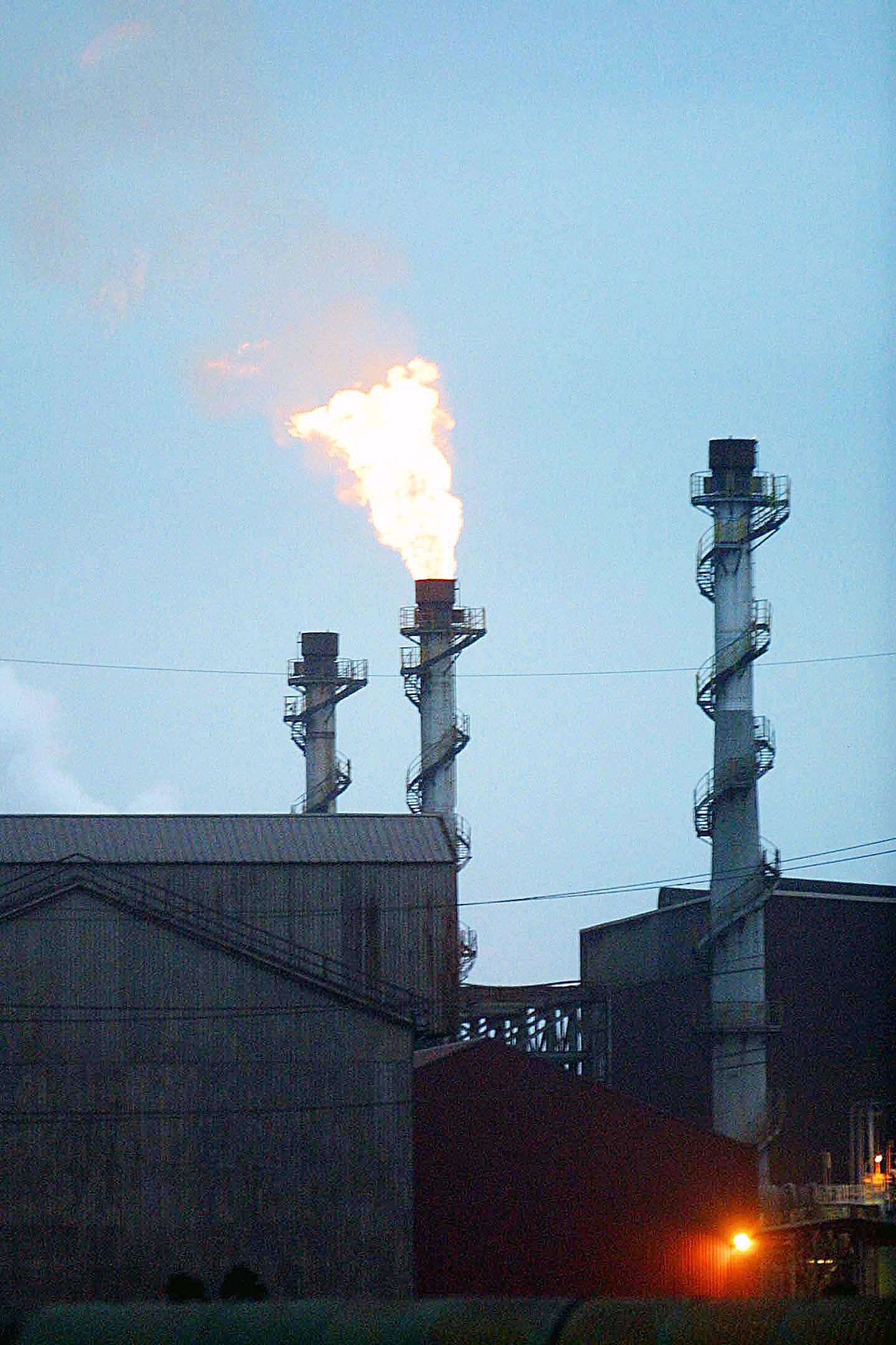 Il pericolo (s)fascista