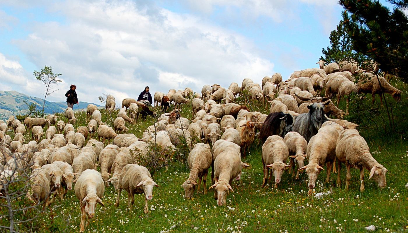 Transumanza Patrimonio culturale Unesco