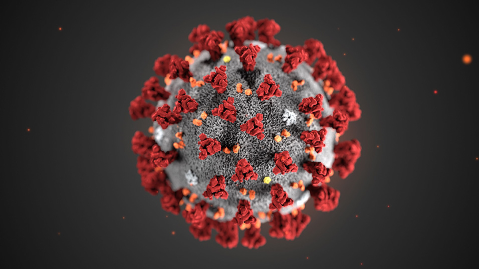 Corona, il doppio virus