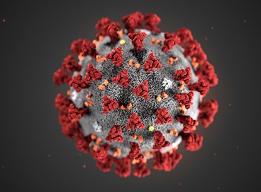 Corona, il doppio virus