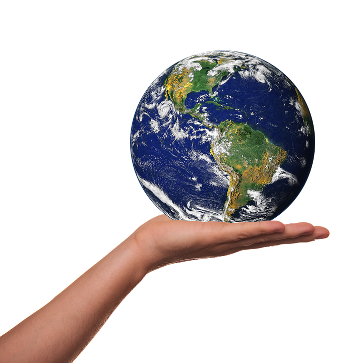 Coniugare attivismo ecologista e formazione certificata: l'appello da Latina