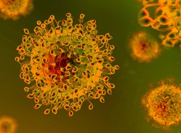 Un virus tutto da capire