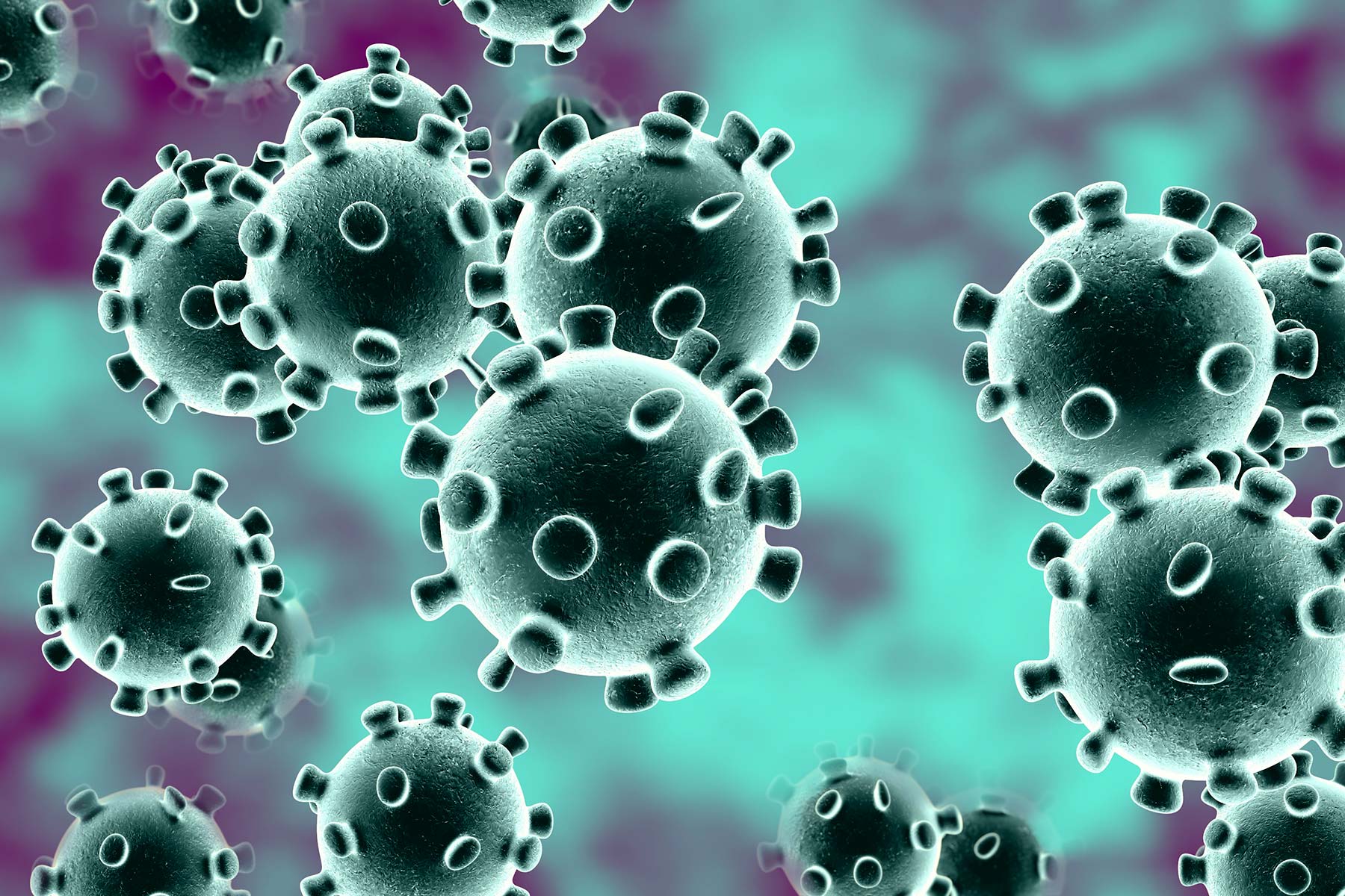 Coronavirus, la petizione per i familiari delle vittime