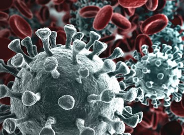 Il virus dell’autolesionismo