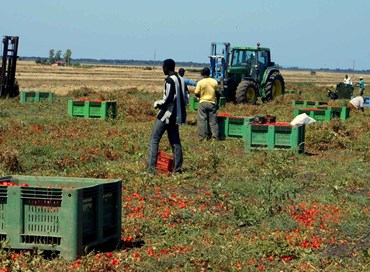 I voucher per far ripartire il settore agricolo durante la crisi