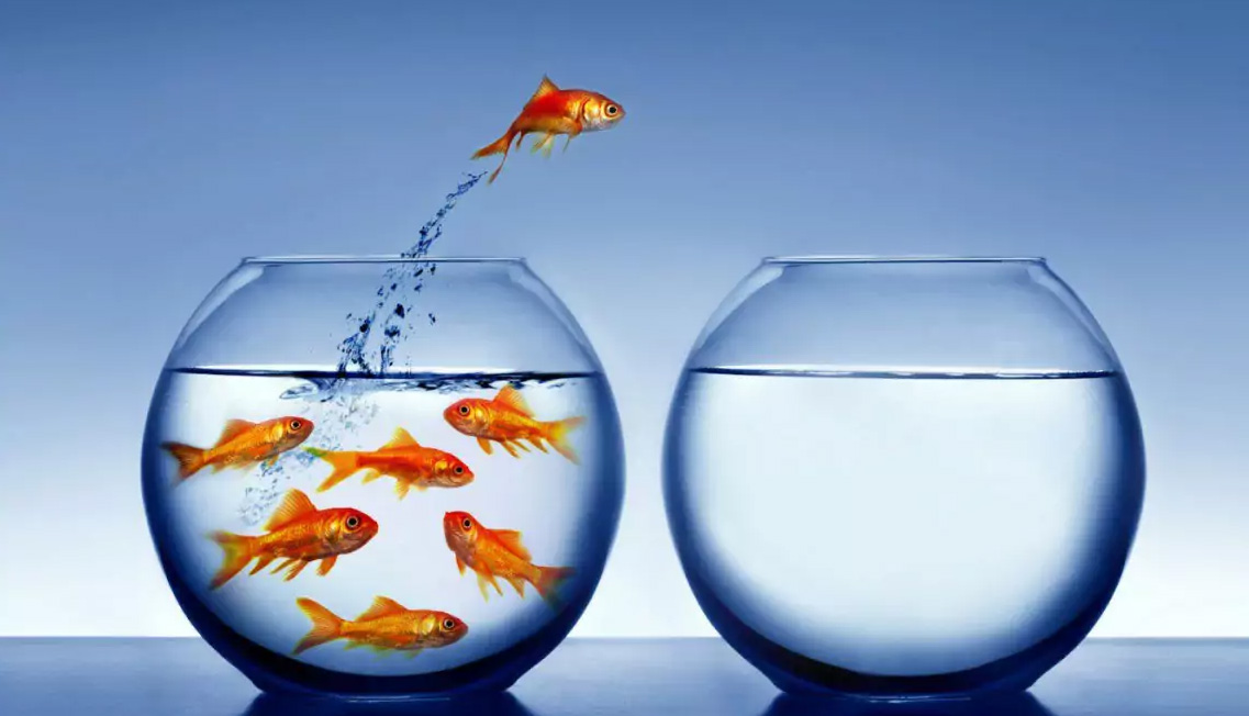 Nasce la società politicamente debole e acefala