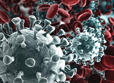 Del peso delle parole al tempo del Coronavirus