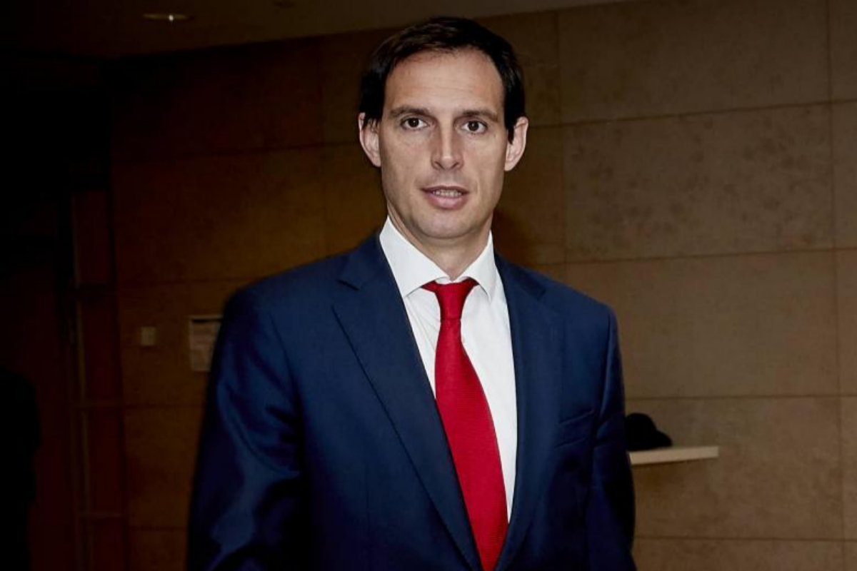 Il Mes, tra realtà e crollo delle illusioni