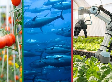 L’innovazione tecnologica e le sfide dell’acquacoltura