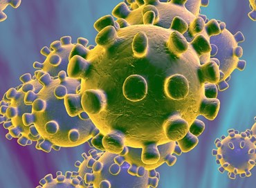 Virus sì, virus no, anzi sì, anzi no