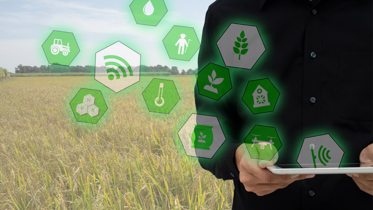 L’Enea rilancia l’importanza dell’innovazione