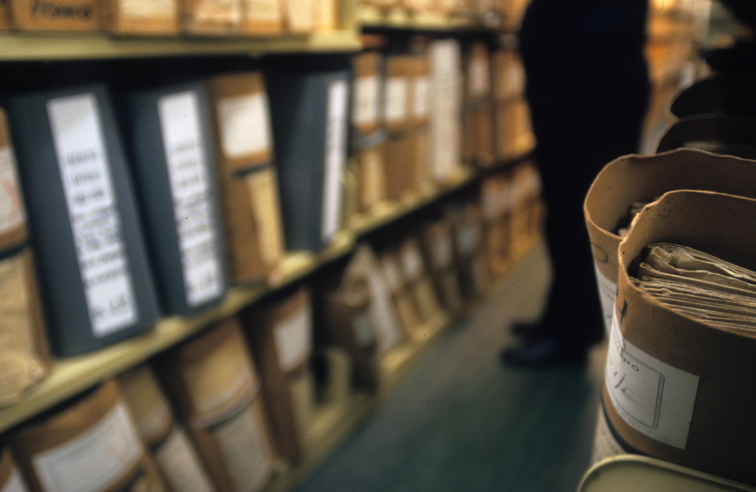 Il raglio della politica