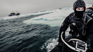 La Sea Shepherd lancia “l’allarme per i nostri mari”