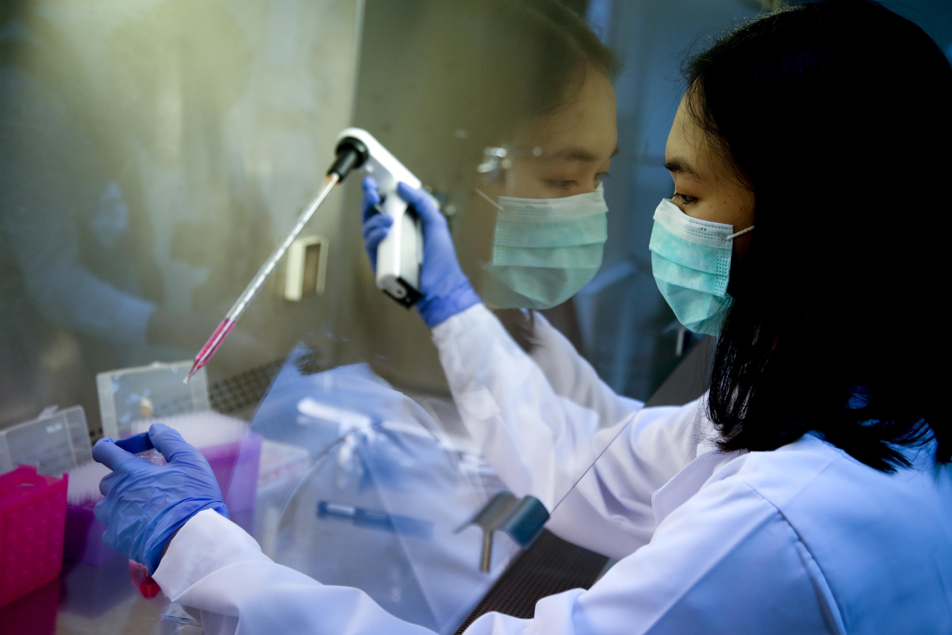 Le opinioni opposte sulla pandemia