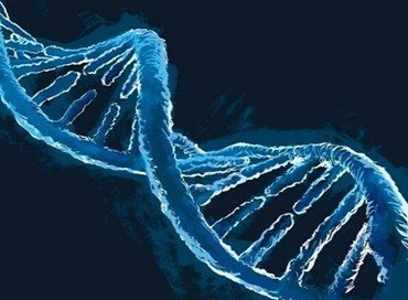 La ricerca scientifica della energia umana