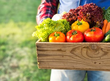 Il ruolo dell’agricoltore contemporaneo