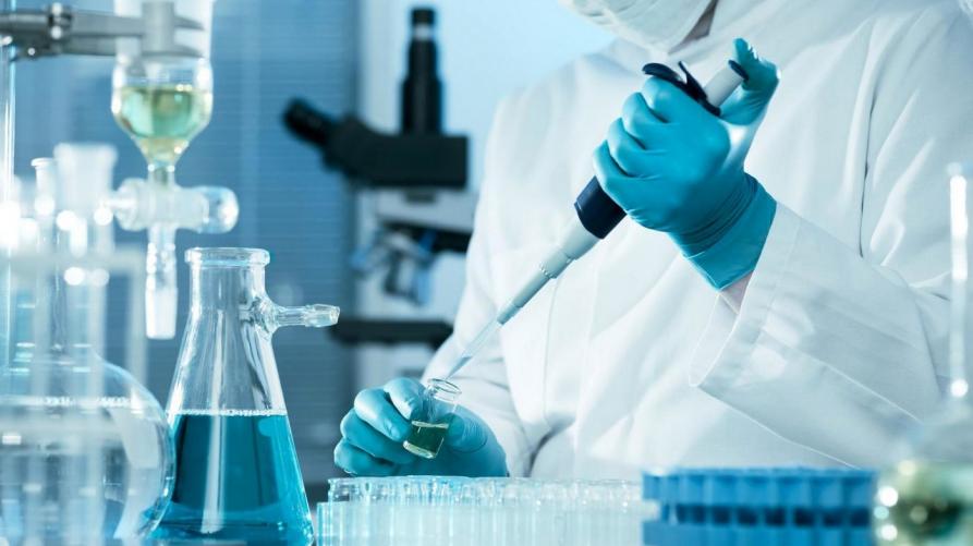 Cnr: “Un composto naturale uccide il Coronavirus”