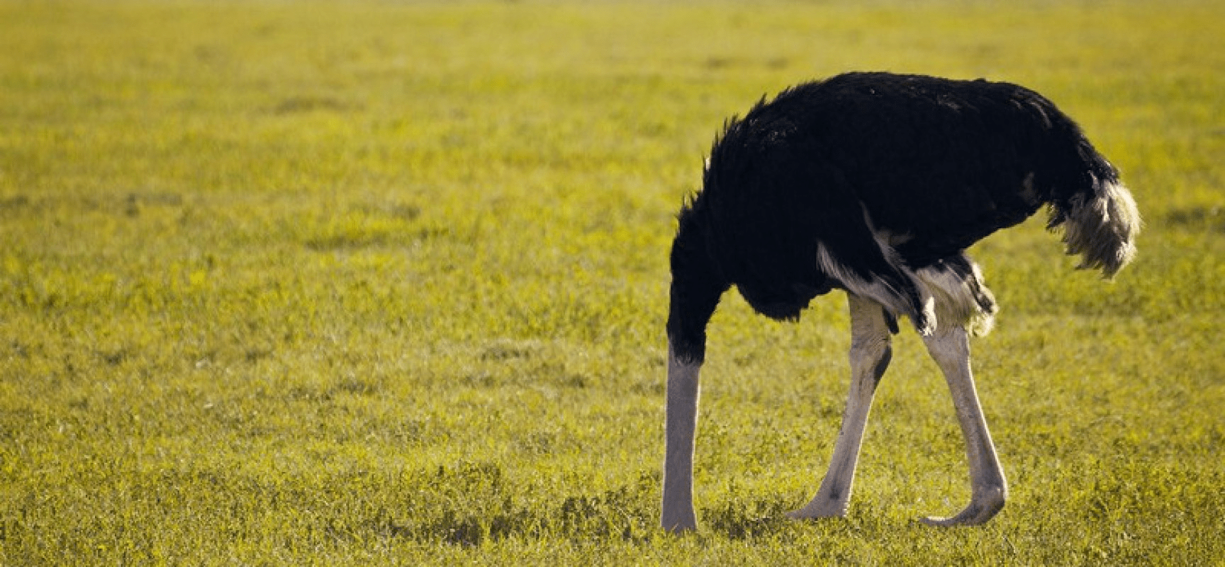 Non pensiamo solo ai programmi e alle analisi macroeconomiche