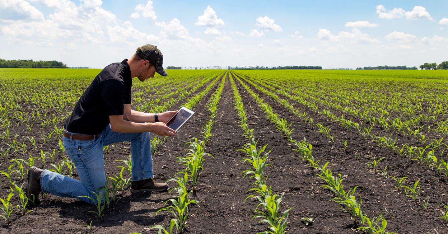 Una piattaforma digitale per l’agroalimentare autoctono