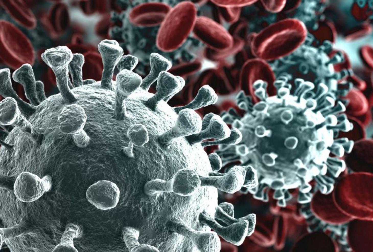 Corsa degli Usa verso terapia anti-Covid con anticorpi