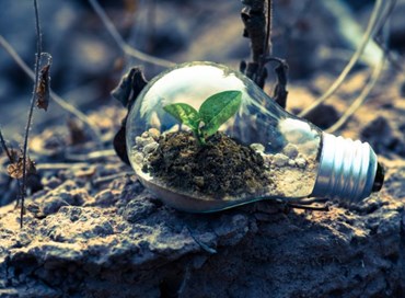 L’ultima da Bruxelles: la trappola green