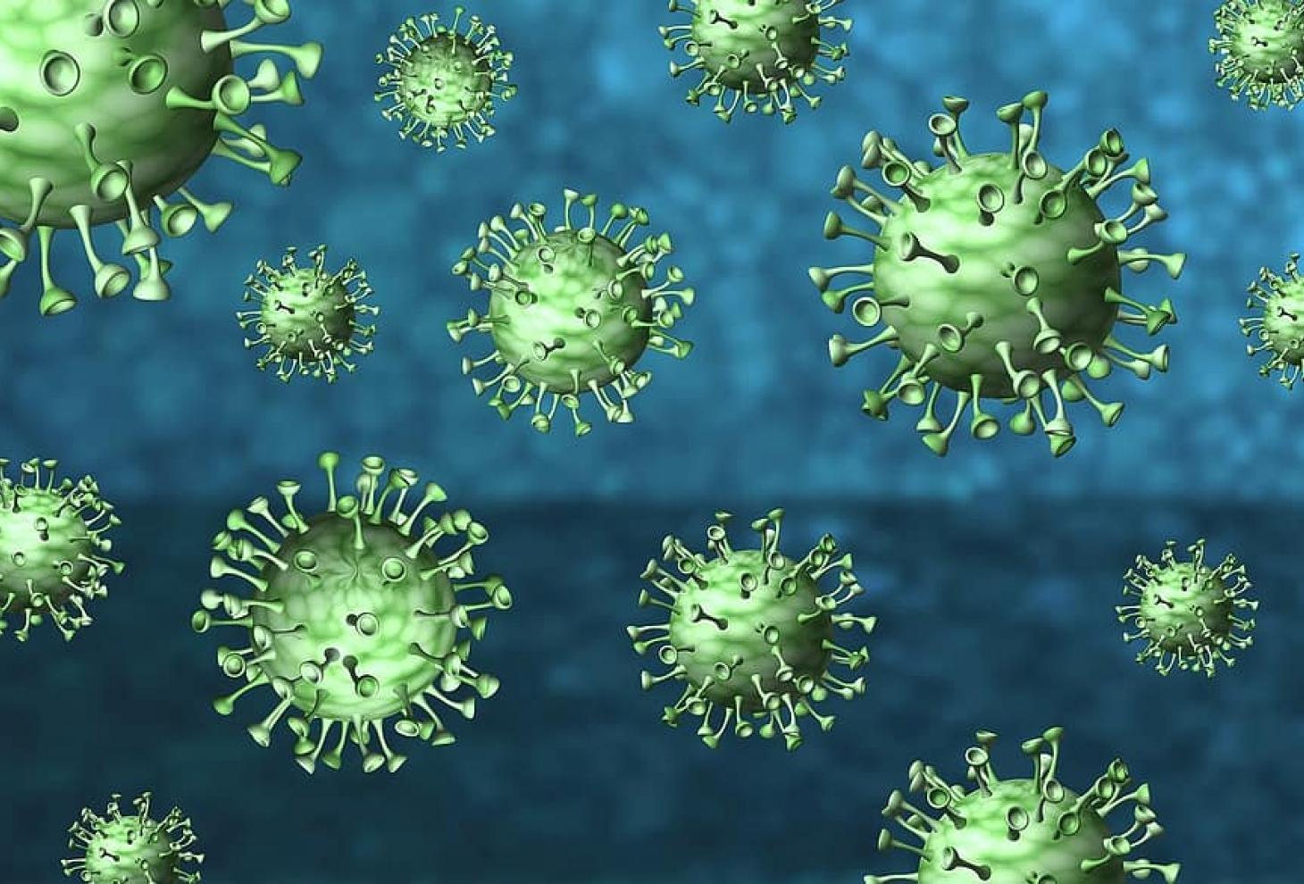 Per 80 esperti l’immunità di gregge non arresterà la crescita del virus