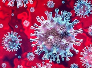 Esponenzial-mente, un virus indisciplinato
