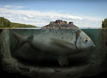 L’isola che non c’è