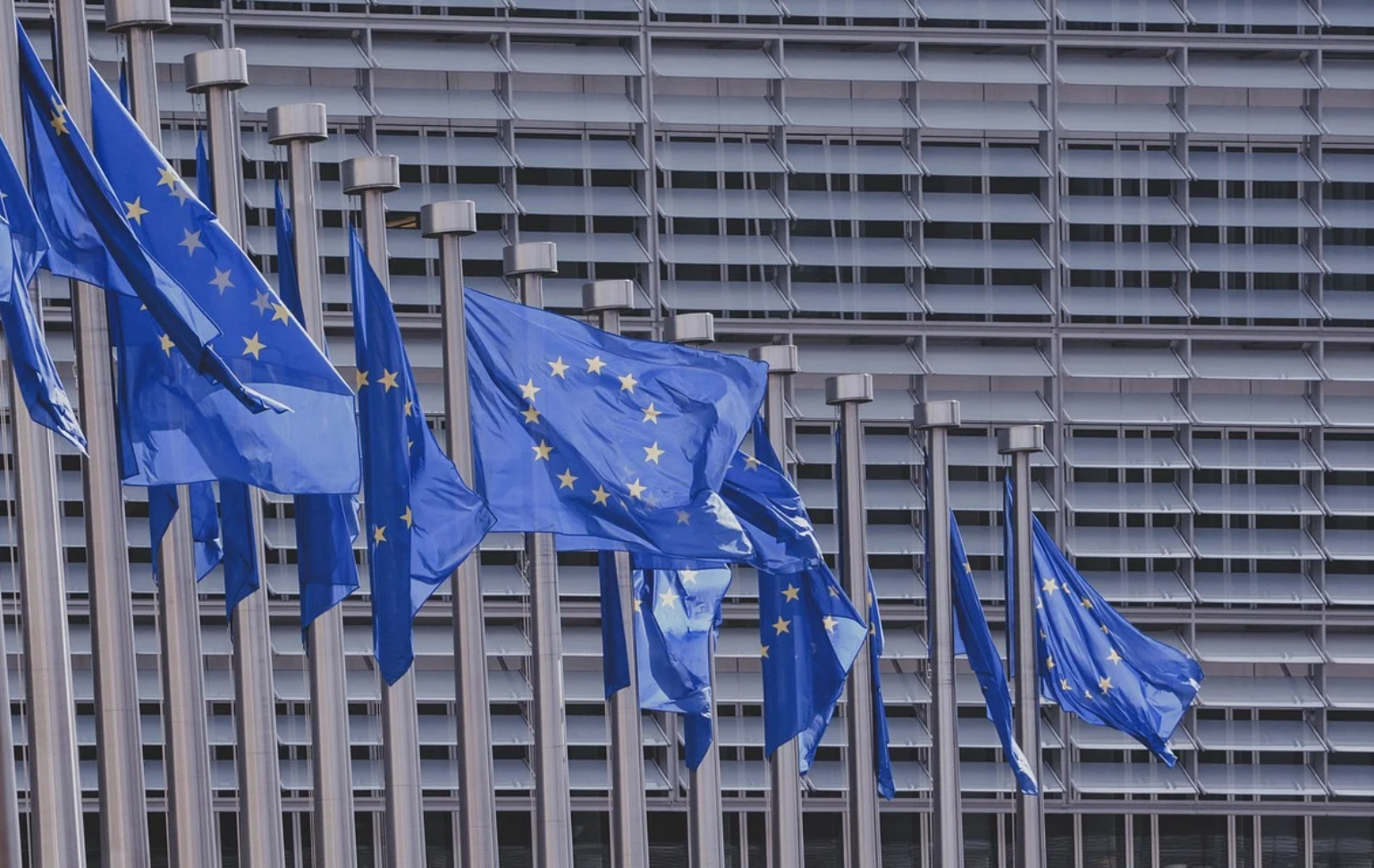 Innovativi portali digitali per la promozione dell’export