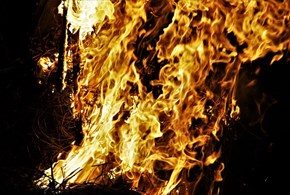 Pandemia e caccia alle streghe, orizzonti futuribili
