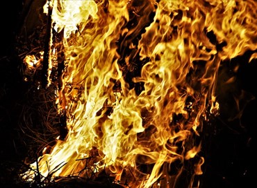 Pandemia e caccia alle streghe, orizzonti futuribili