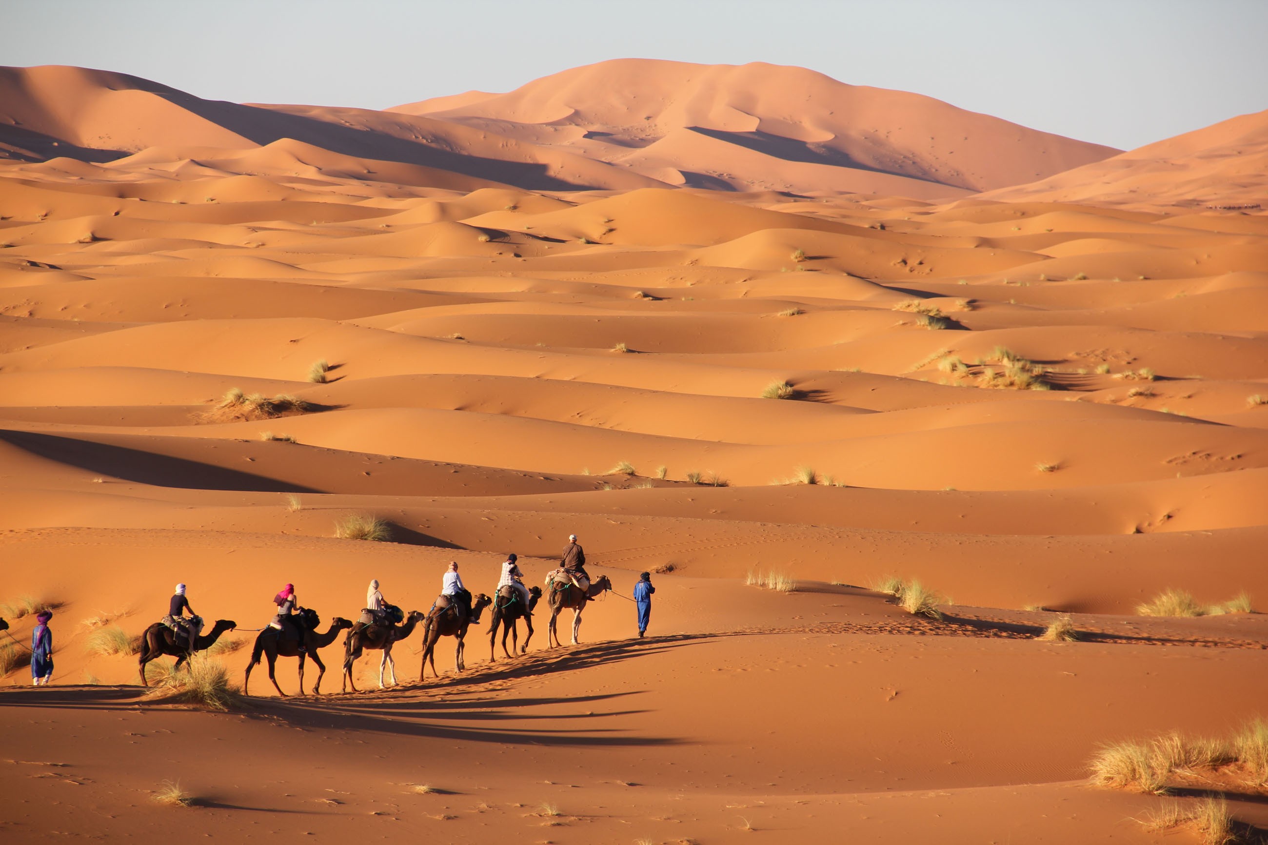 L’appello della società civile italiana sulla risoluzione Onu dedicata al Sahara
