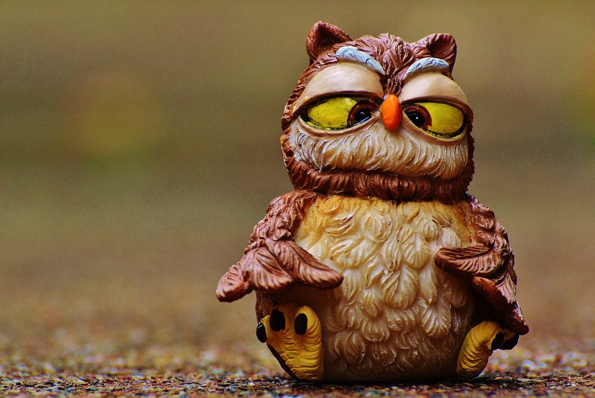 Lo strabismo non dona alla destra