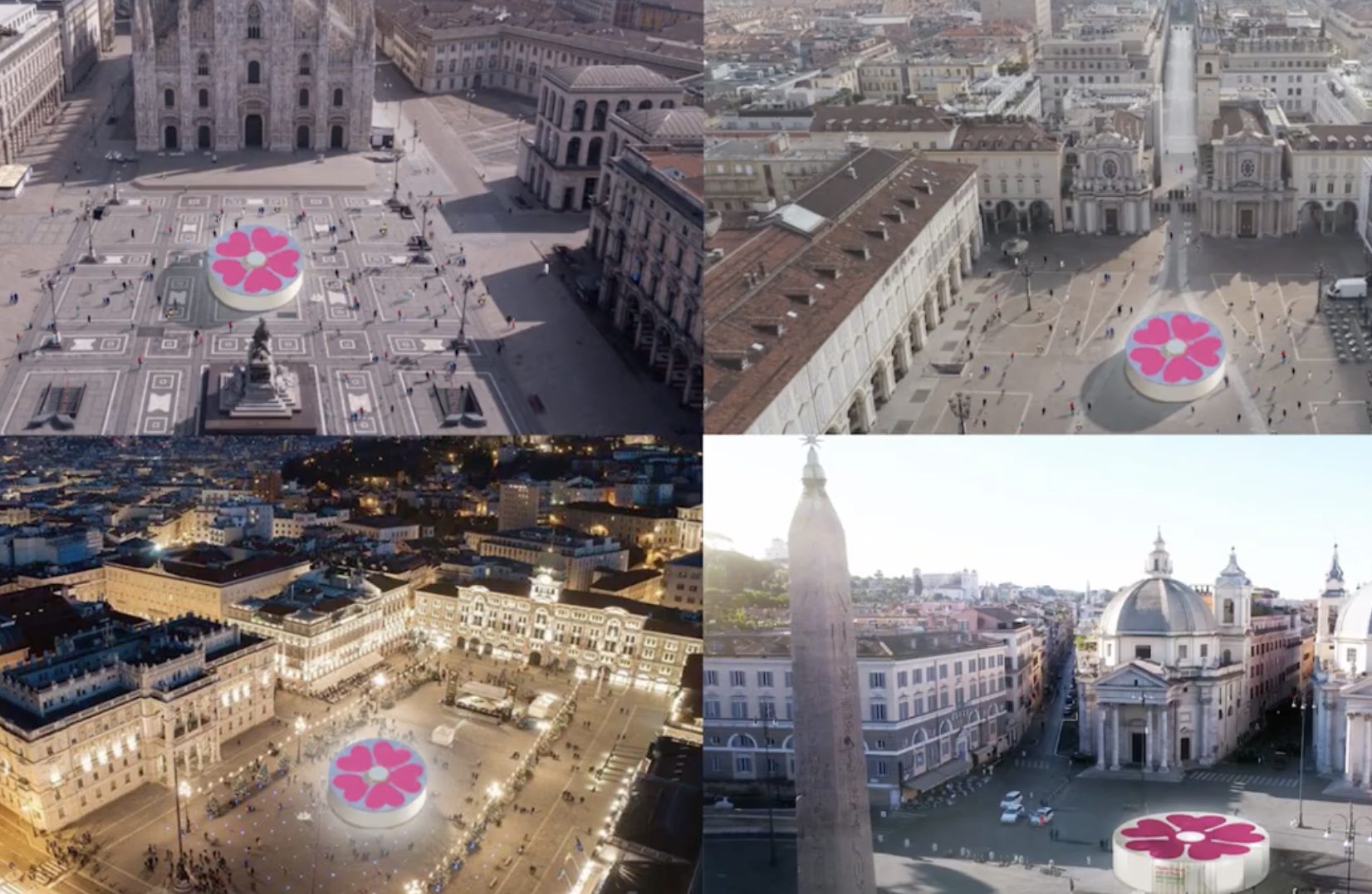 La primula della nostra rinascita